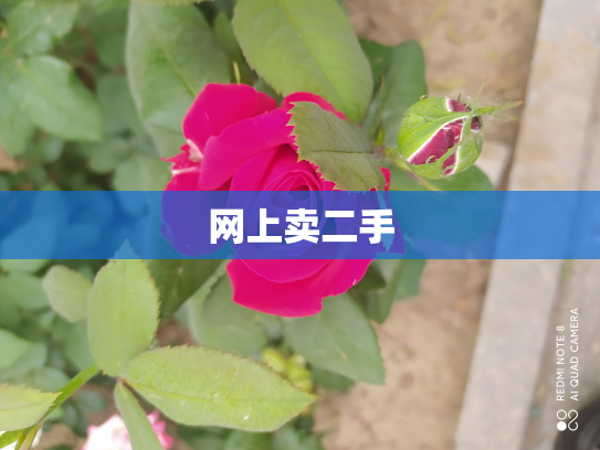 网上卖二手