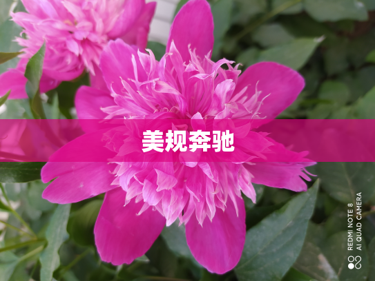 美规奔驰