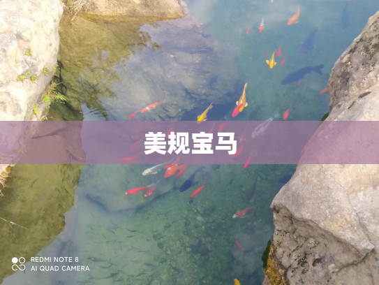 美规宝马