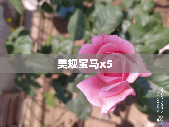 美规宝马x5