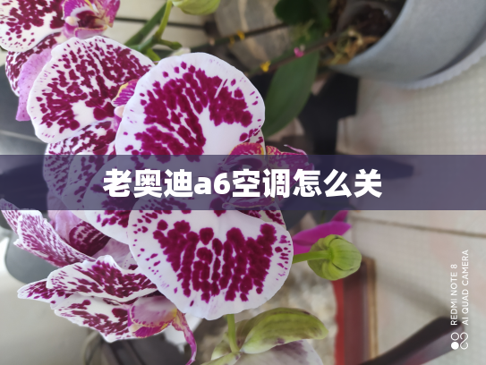 老奥迪a6空调怎么关