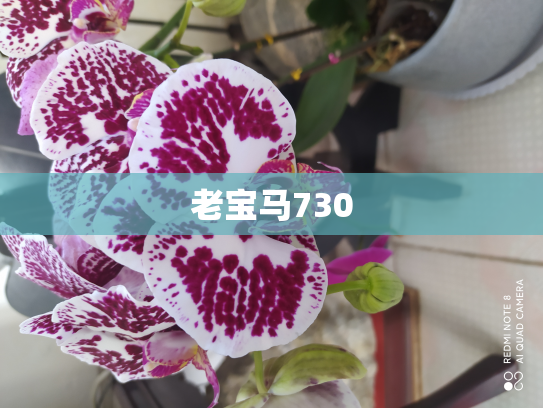 老宝马730