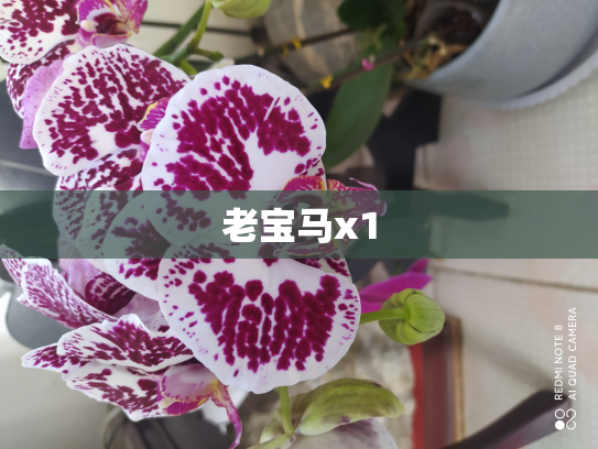 老宝马x1