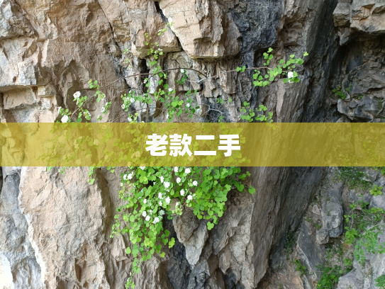 老款二手