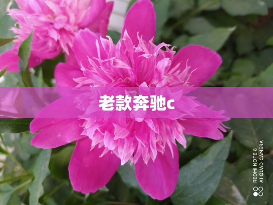 老款奔驰c