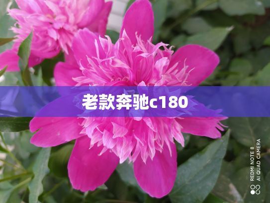 老款奔驰c180