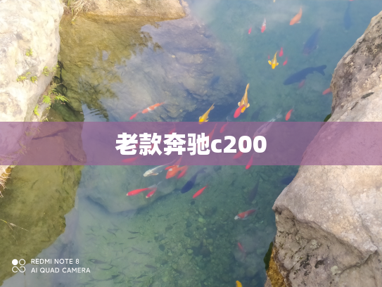 老款奔驰c200