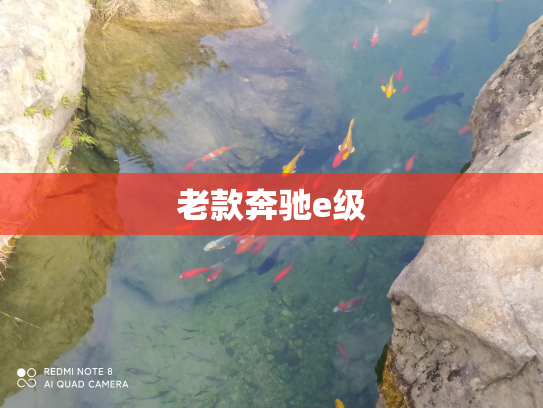 老款奔驰e级