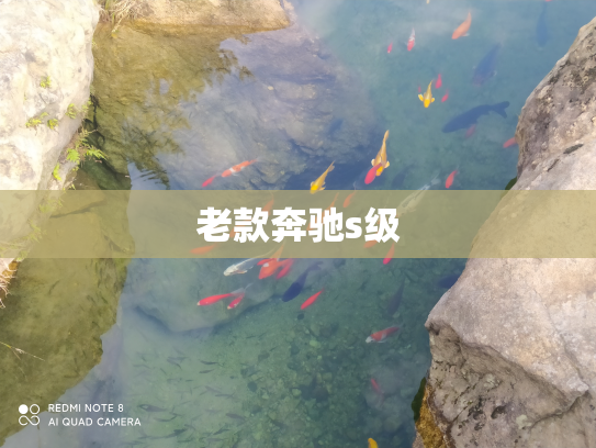 老款奔驰s级