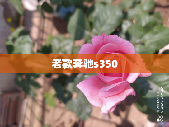 老款奔驰s350