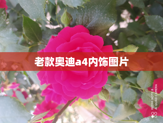 老款奥迪a4内饰图片