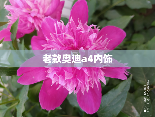 老款奥迪a4内饰
