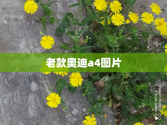 老款奥迪a4图片