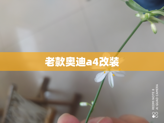 老款奥迪a4改装