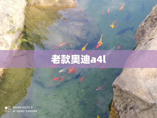 老款奥迪a4l