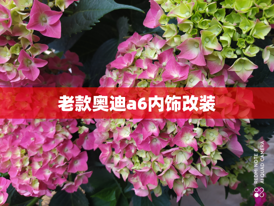 老款奥迪a6内饰改装