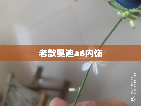 老款奥迪a6内饰