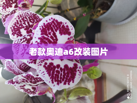 老款奥迪a6改装图片