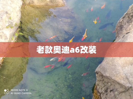 老款奥迪a6改装