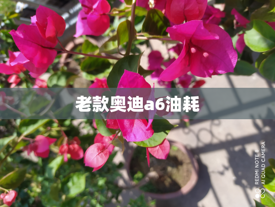 老款奥迪a6油耗