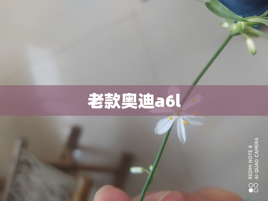 老款奥迪a6l