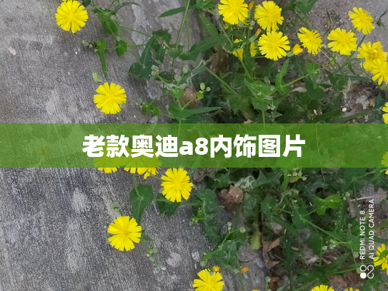 老款奥迪a8内饰图片