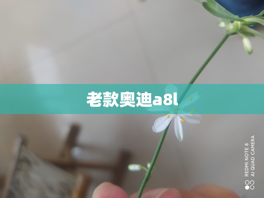 老款奥迪a8l