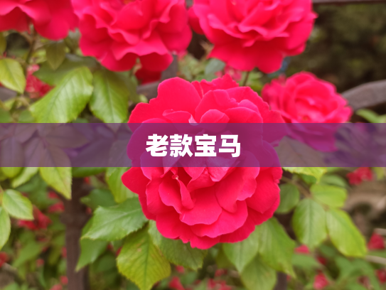 老款宝马