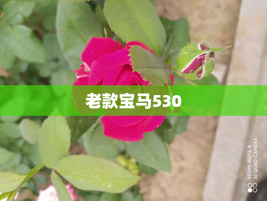 老款宝马530