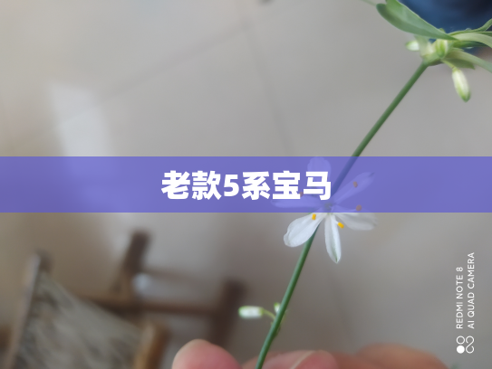 老款5系宝马