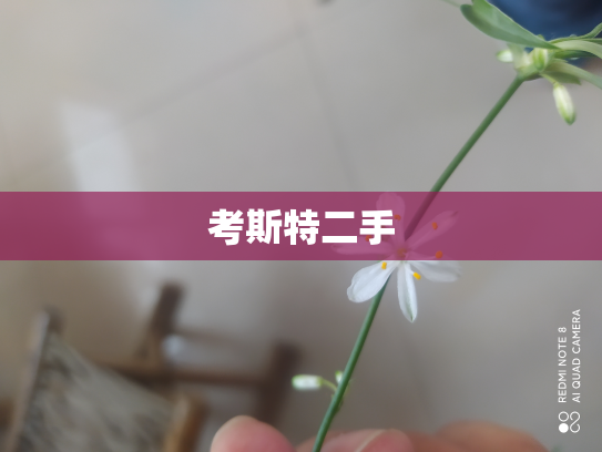 考斯特二手