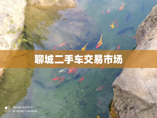 聊城二手车交易市场