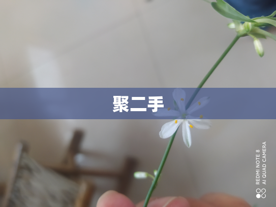 聚二手