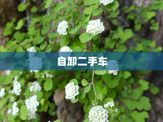 自卸二手车