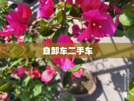 自卸车二手车