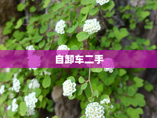 自卸车二手