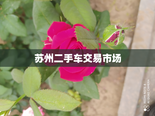 苏州二手车交易市场