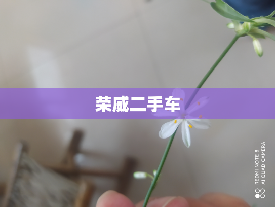 荣威二手车