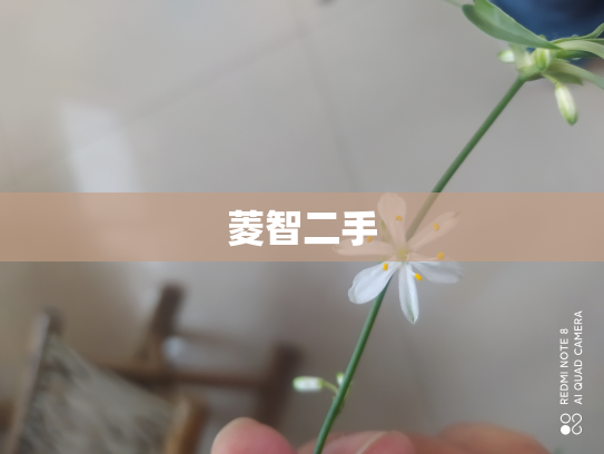 菱智二手