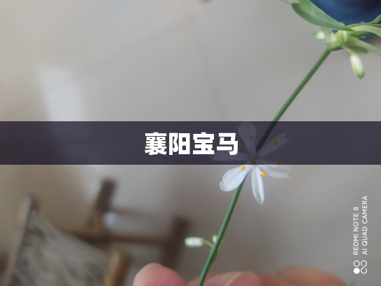 襄阳宝马