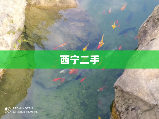 西宁二手
