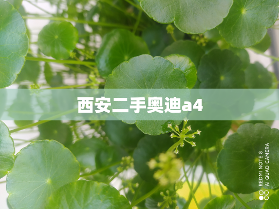 西安二手奥迪a4