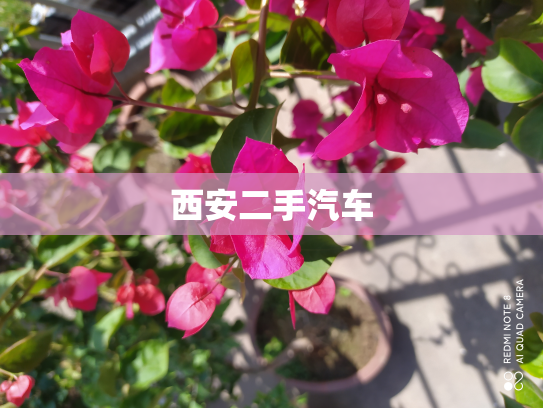 西安二手汽车