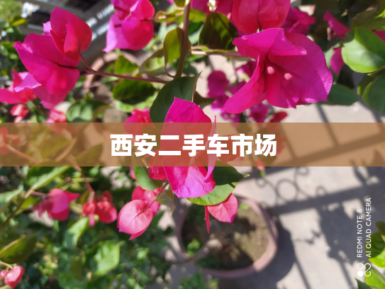 西安二手车市场