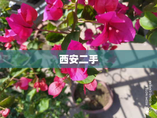 西安二手