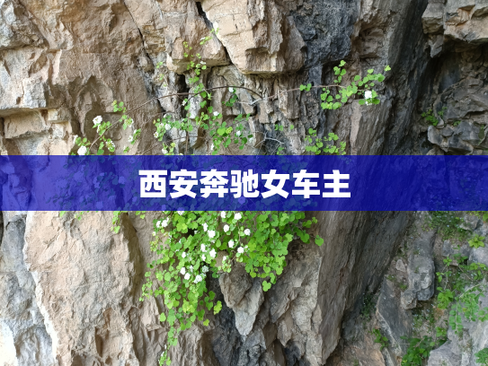 西安奔驰女车主