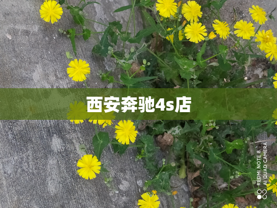 西安奔驰4s店