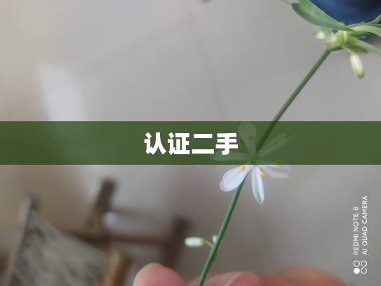 认证二手