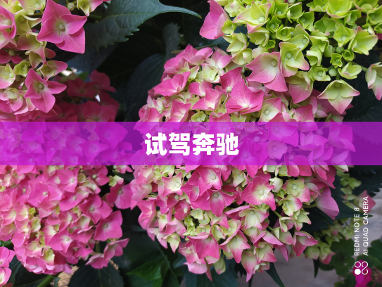 试驾奔驰