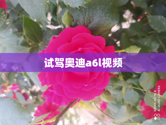 试驾奥迪a6l视频